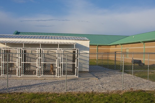 Animals Kennel @ Animals Kennel @