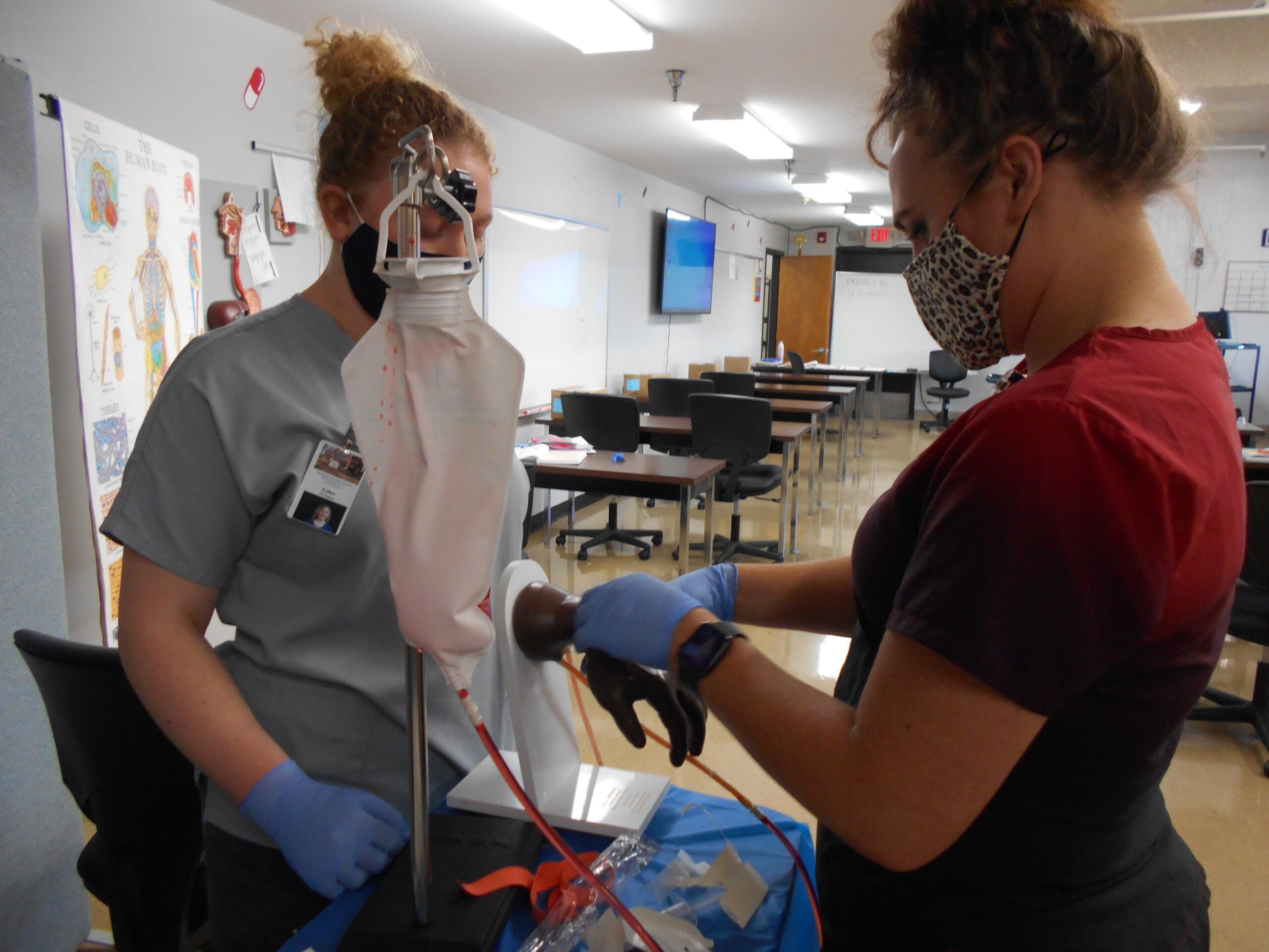 Two students using lab equipment to practice IV techniques.